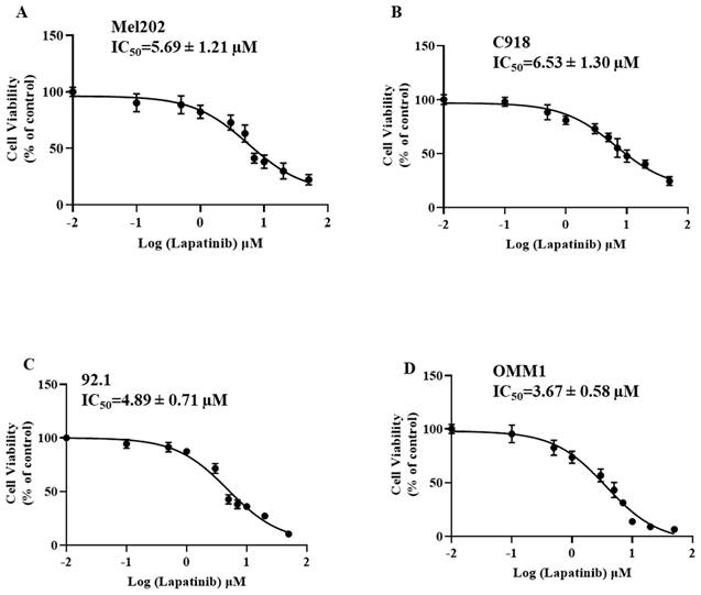 J Cancer Image