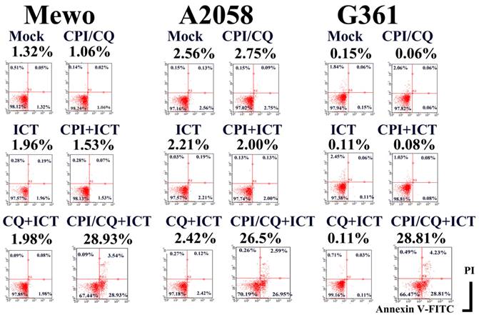 J Cancer Image