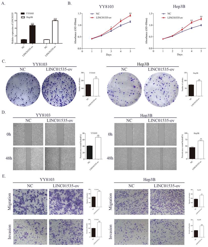 J Cancer Image