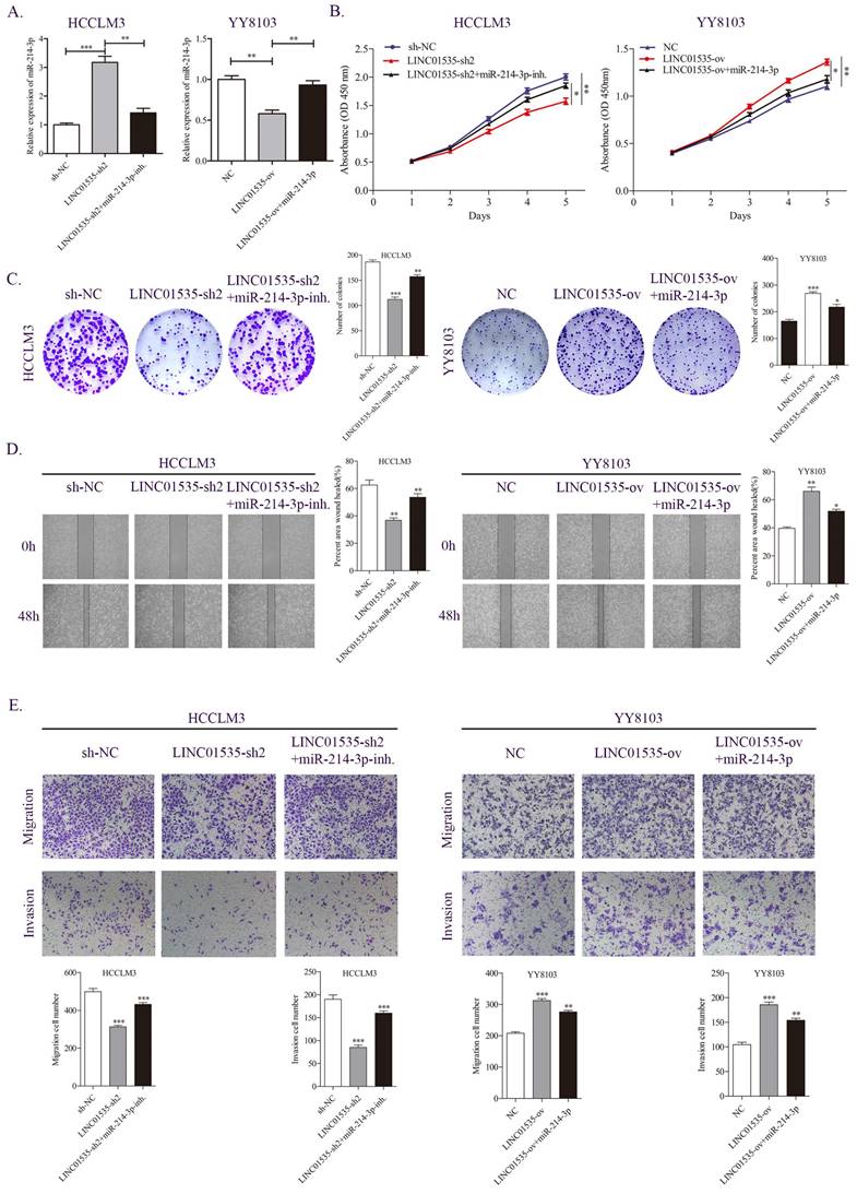 J Cancer Image