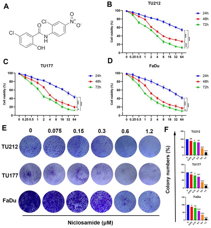 J Cancer Image