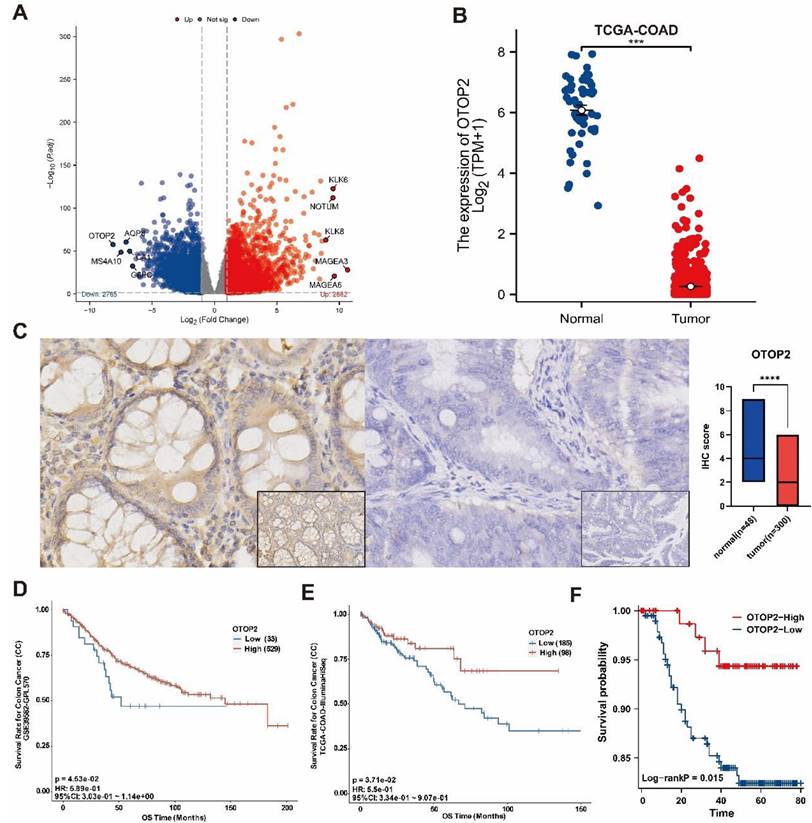 J Cancer Image