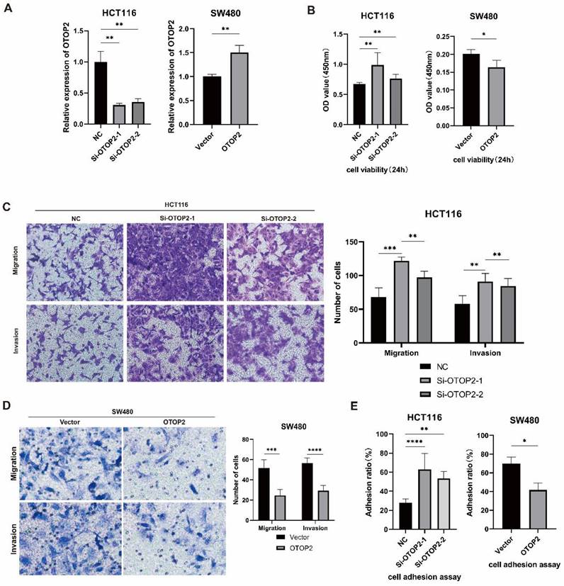 J Cancer Image