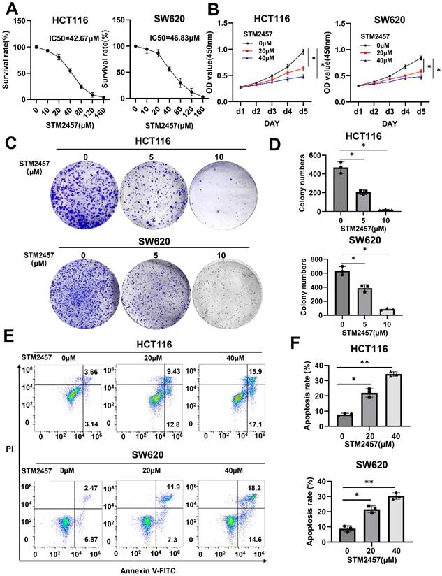 J Cancer Image