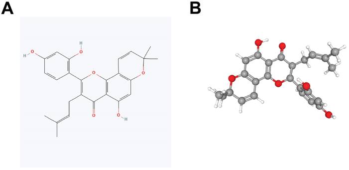 J Cancer Image