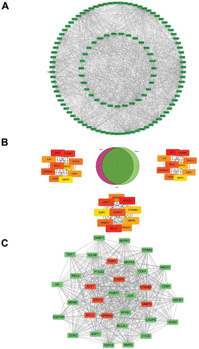 J Cancer Image