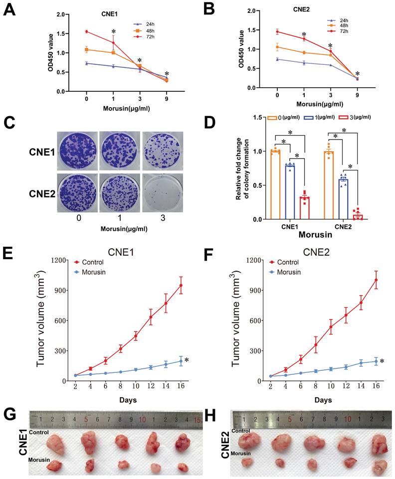 J Cancer Image