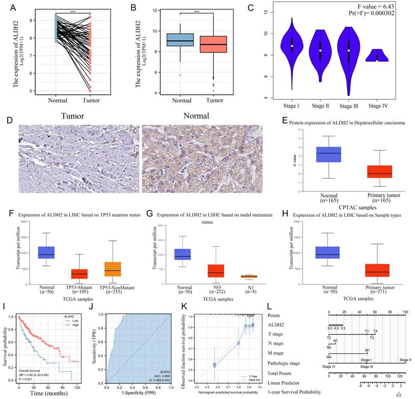 J Cancer Image