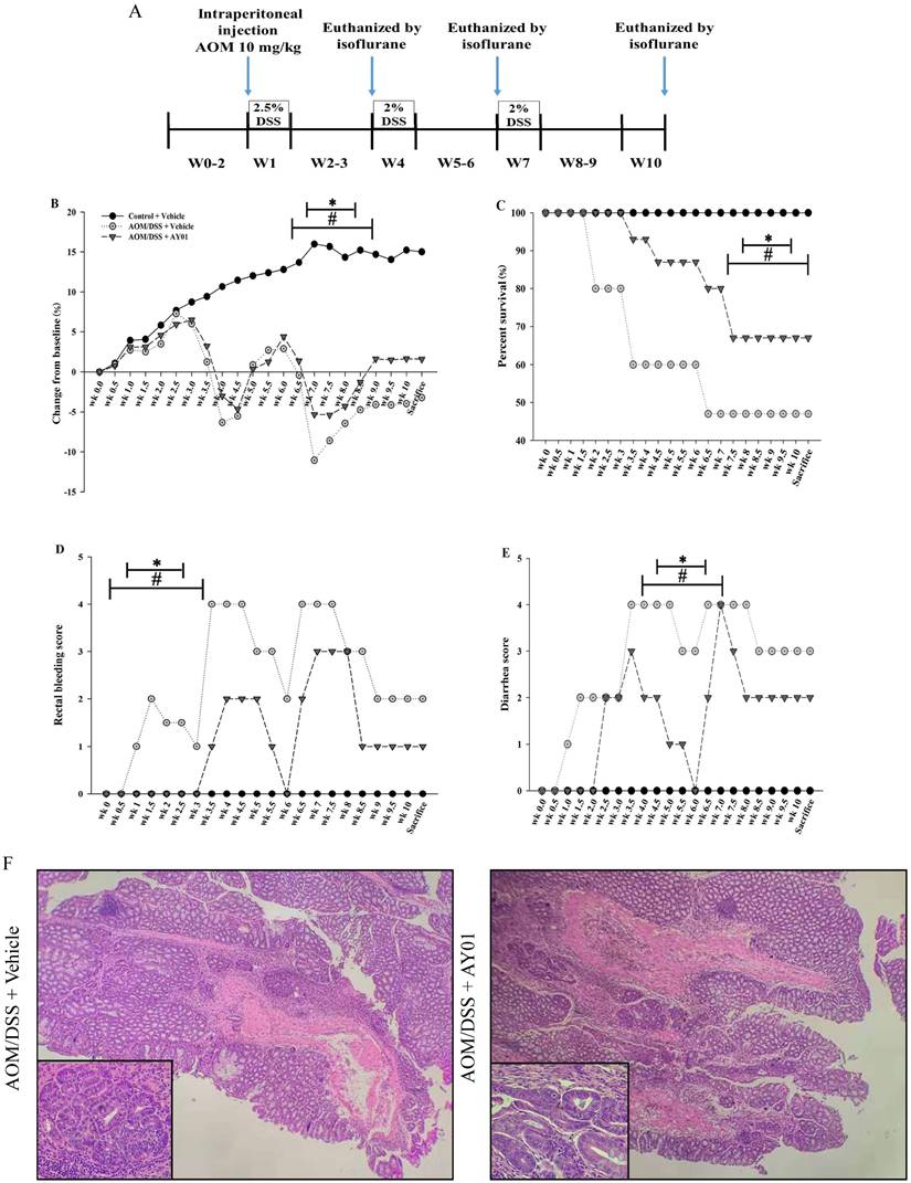 J Cancer Image