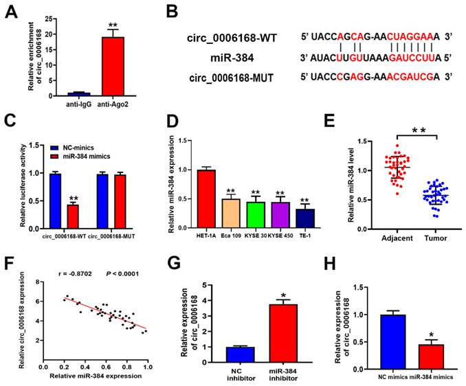 J Cancer Image