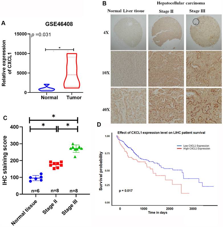 J Cancer Image