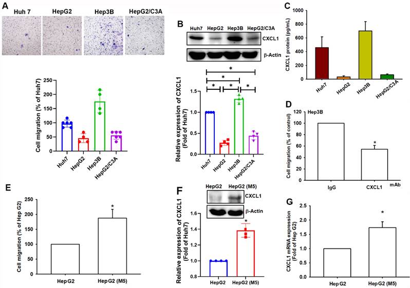 J Cancer Image