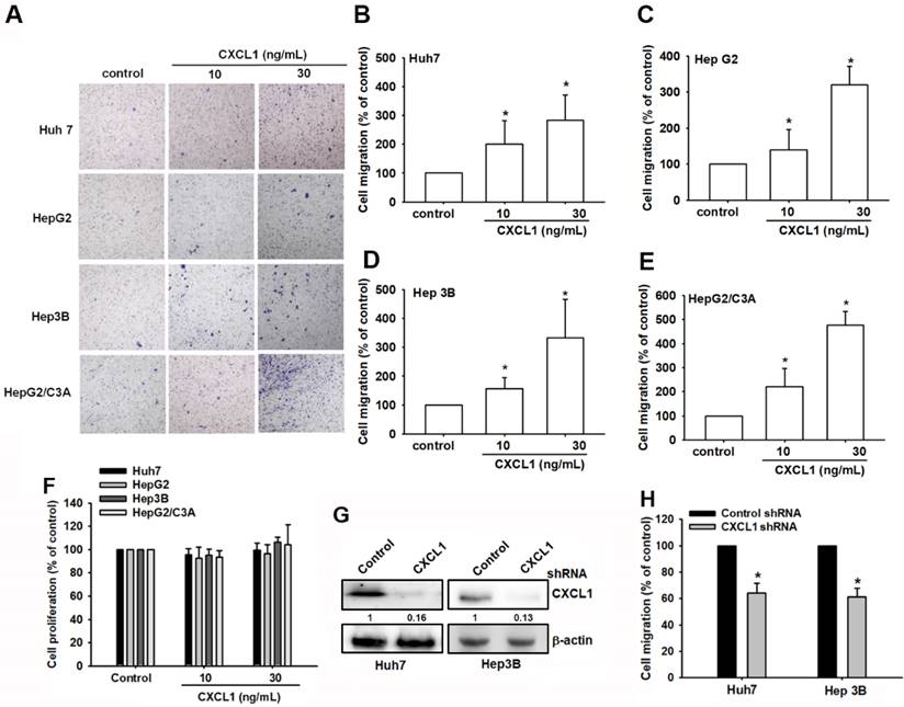 J Cancer Image