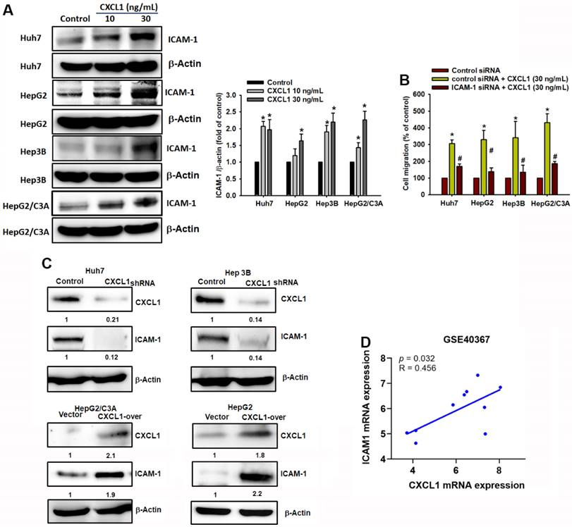 J Cancer Image