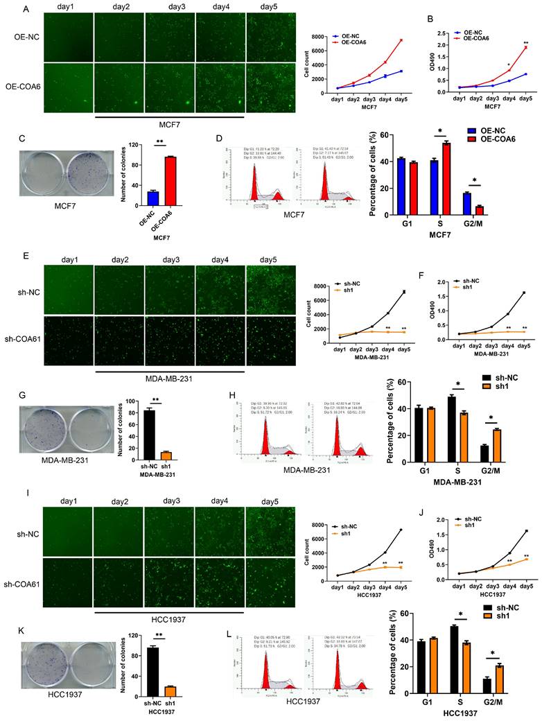 J Cancer Image