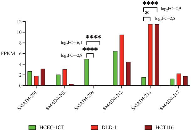 J Cancer Image