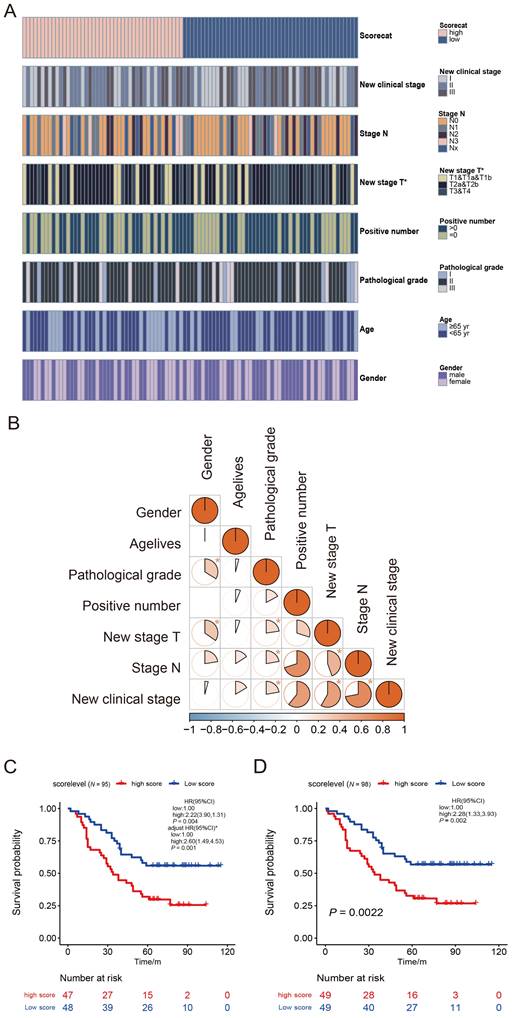 J Cancer Image