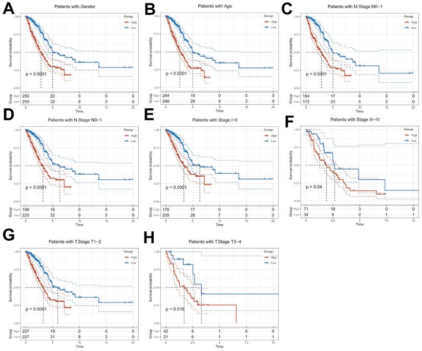 J Cancer Image