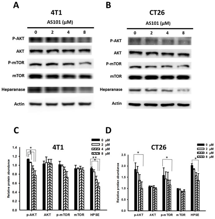 J Cancer Image