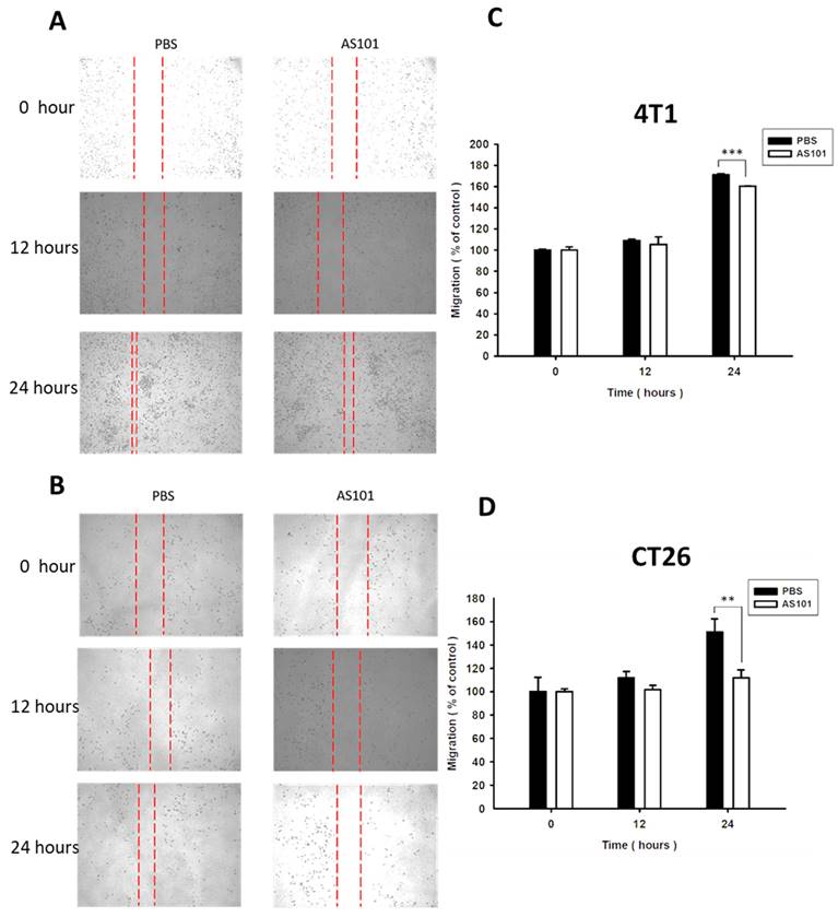 J Cancer Image