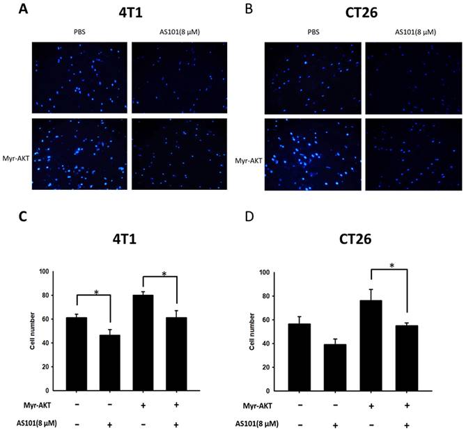 J Cancer Image