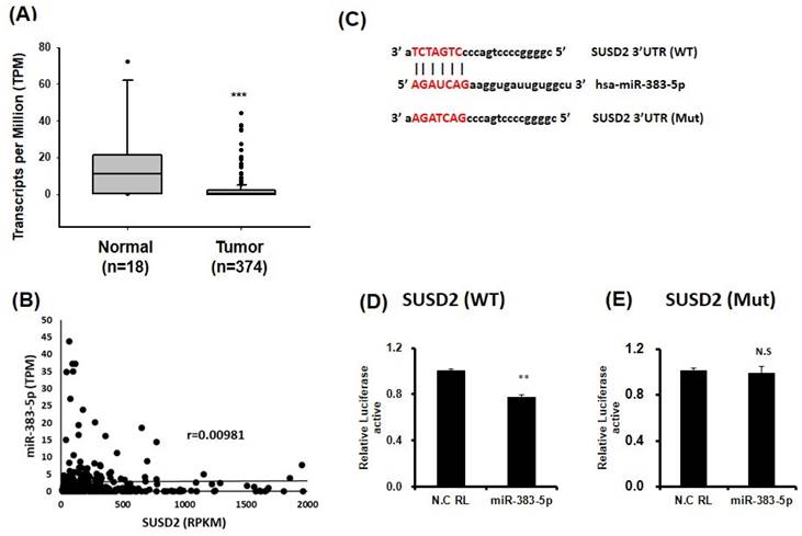 J Cancer Image