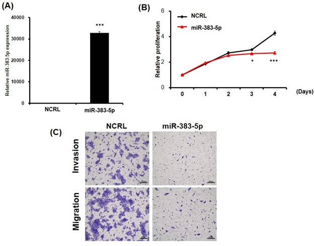 J Cancer Image