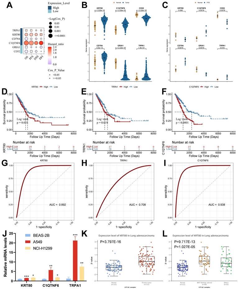 J Cancer Image