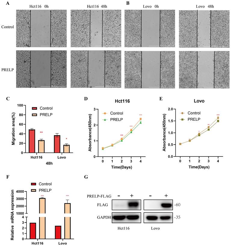 J Cancer Image