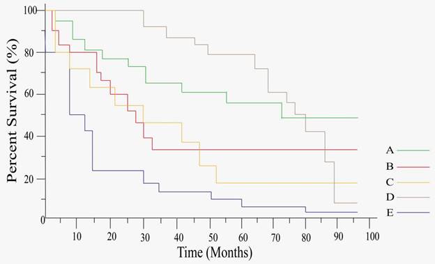 J Cancer Image