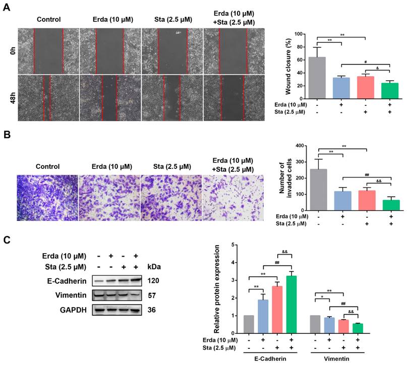 J Cancer Image