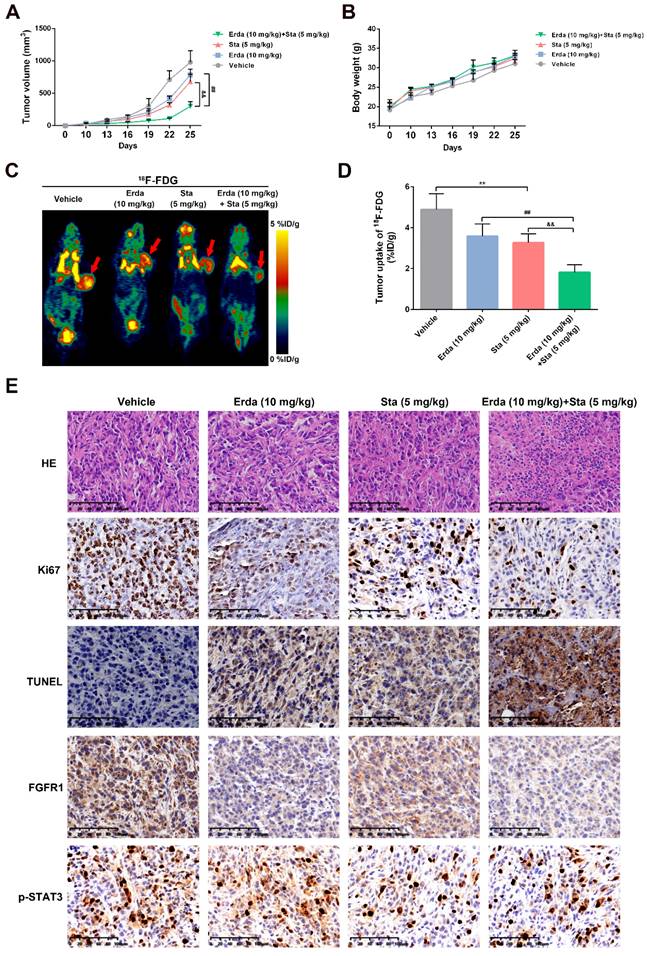 J Cancer Image