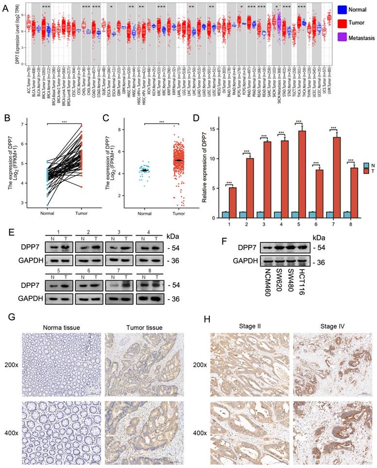 J Cancer Image