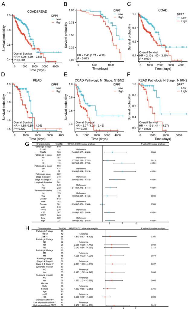 J Cancer Image