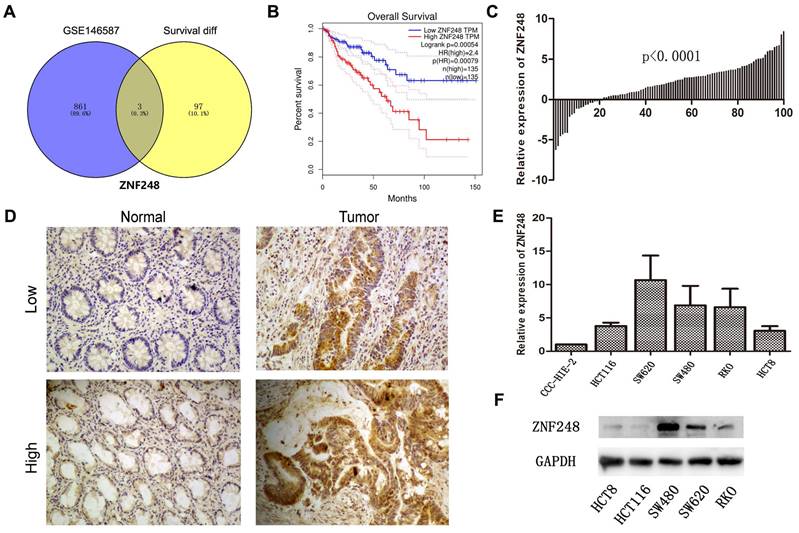 J Cancer Image