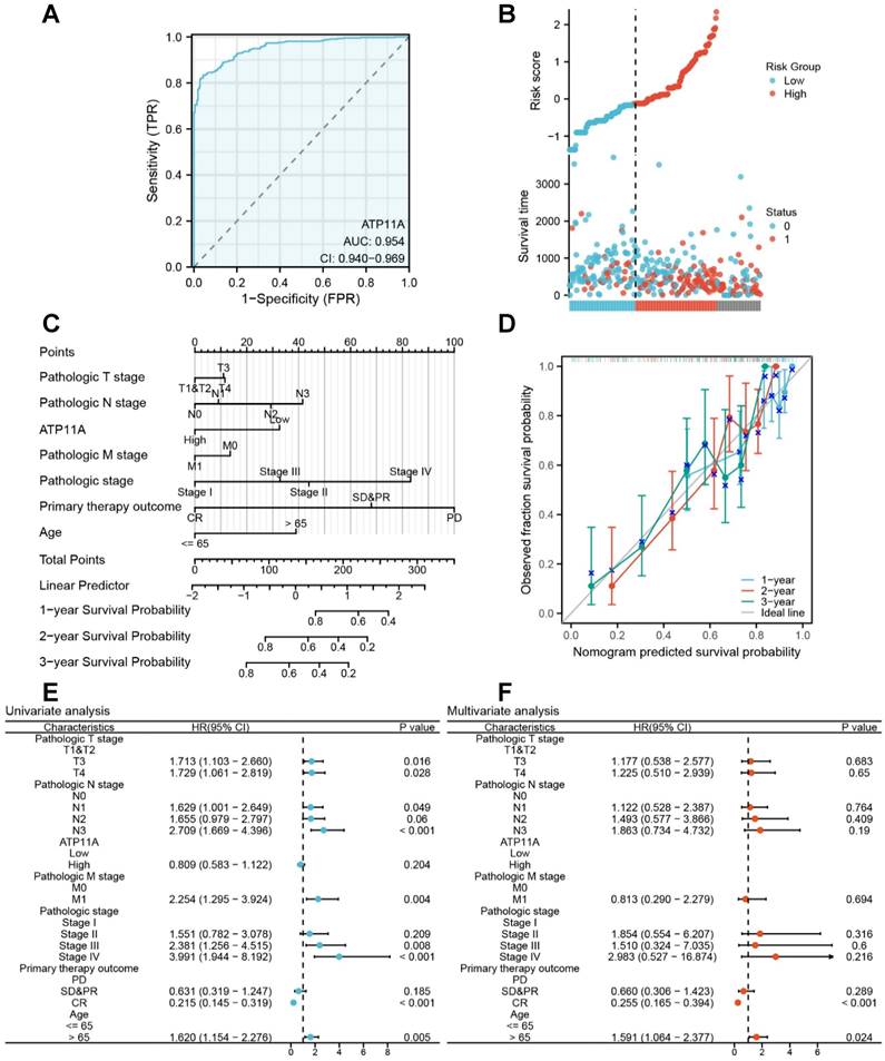 J Cancer Image