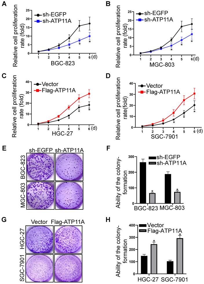 J Cancer Image