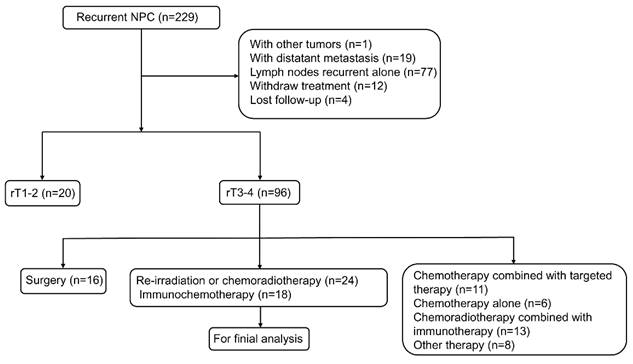 J Cancer Image