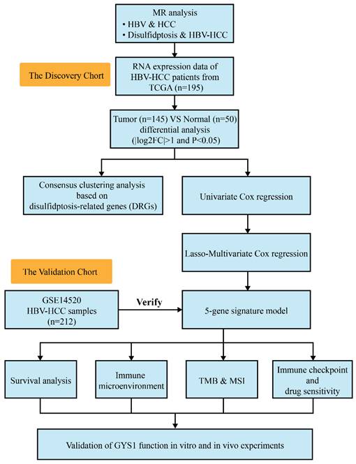 J Cancer Image