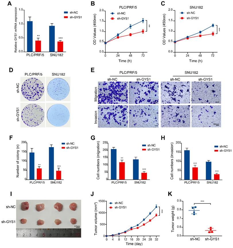 J Cancer Image