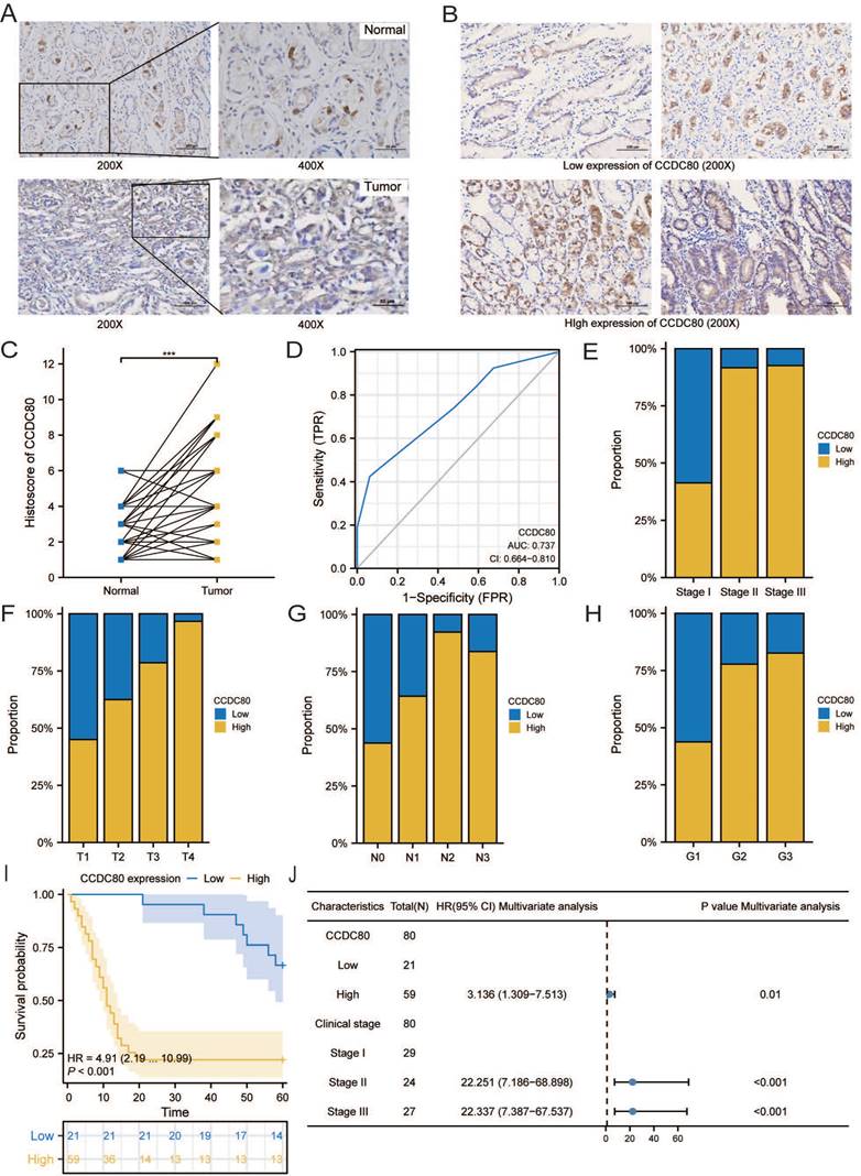 J Cancer Image