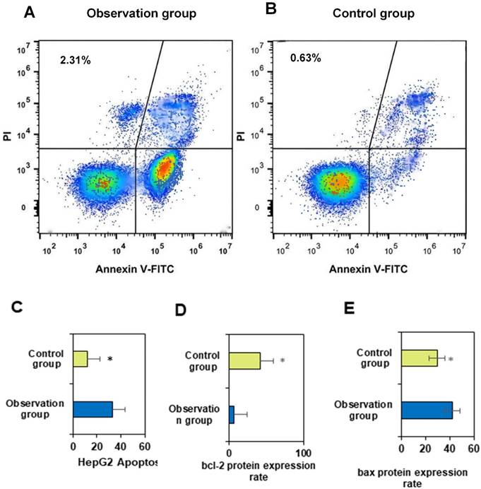 J Cancer Image