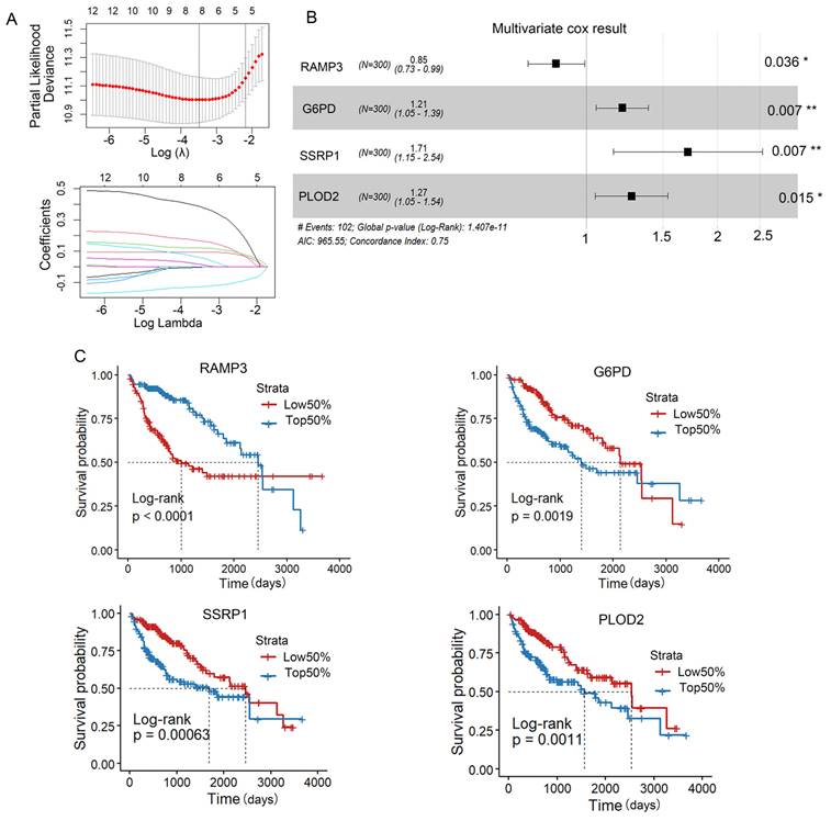 J Cancer Image