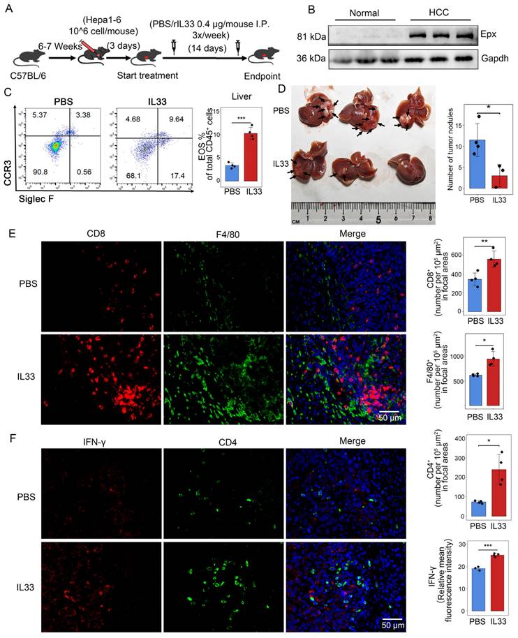 J Cancer Image