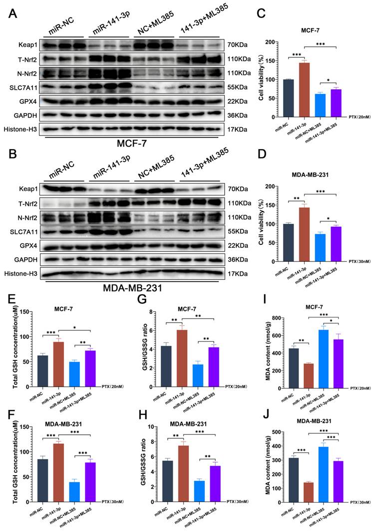 J Cancer Image