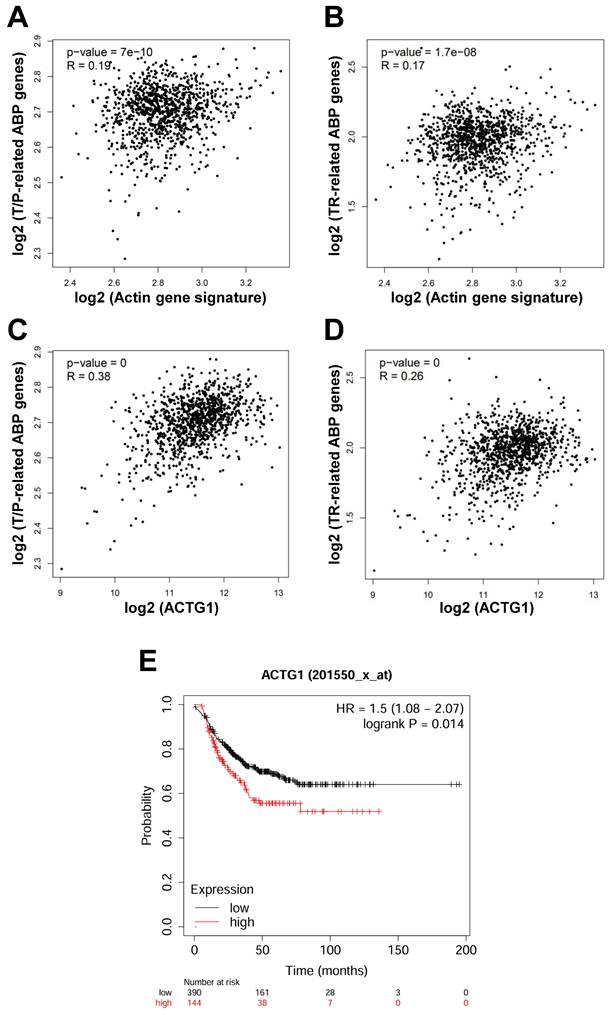 J Cancer Image