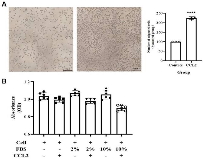 J Cancer Image