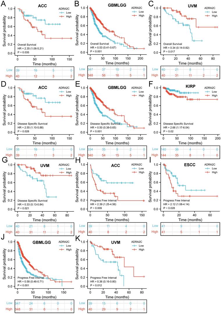 J Cancer Image