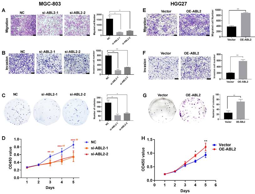 J Cancer Image