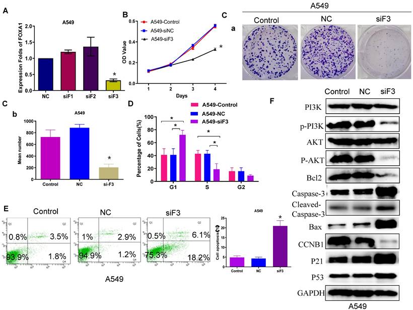 J Cancer Image